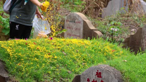 person scattering yellow flowers on a grave site