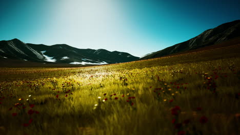 panoramic view of alpine mountain landscape in the alps