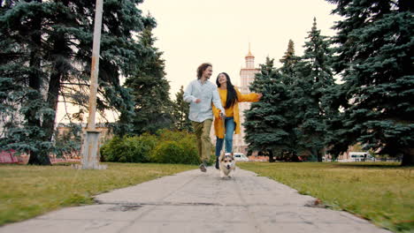 couple walking dog in park