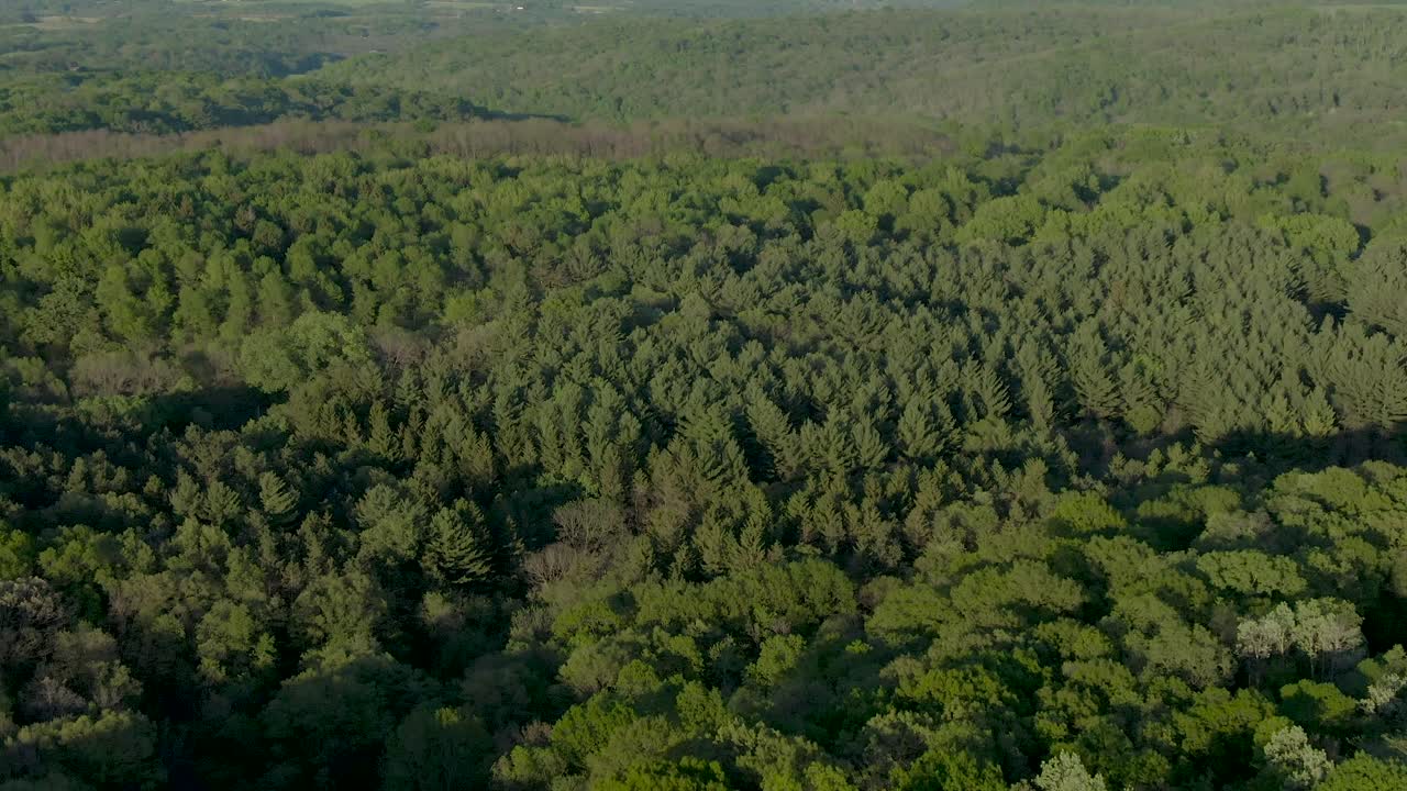 antena sobre un denso bosque en las montañas de wisconsin durante el anochecer