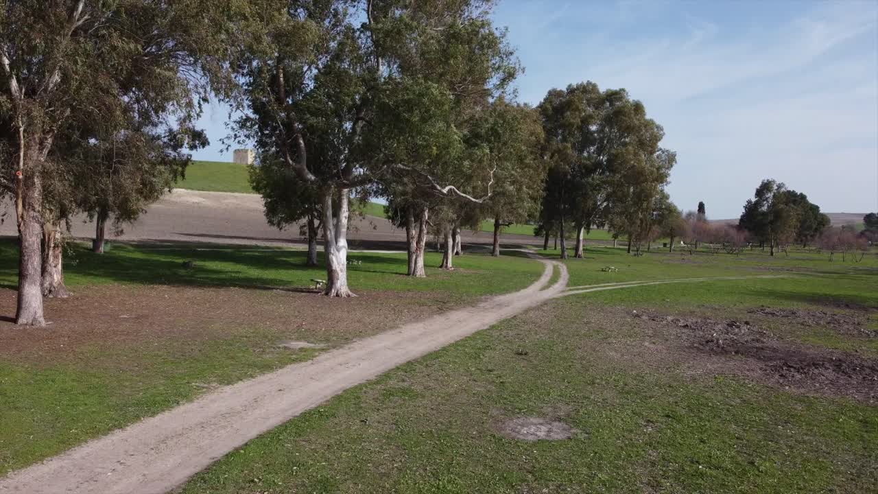 drone volando bajo en el parque de campo verde en un hermoso día soleado de verano con naranjos, sevilla españa