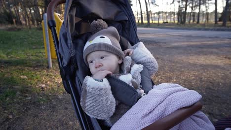 Baby-Sitzt-In-Ihrem-Kinderwagen-Und-Genießt-Den-Park