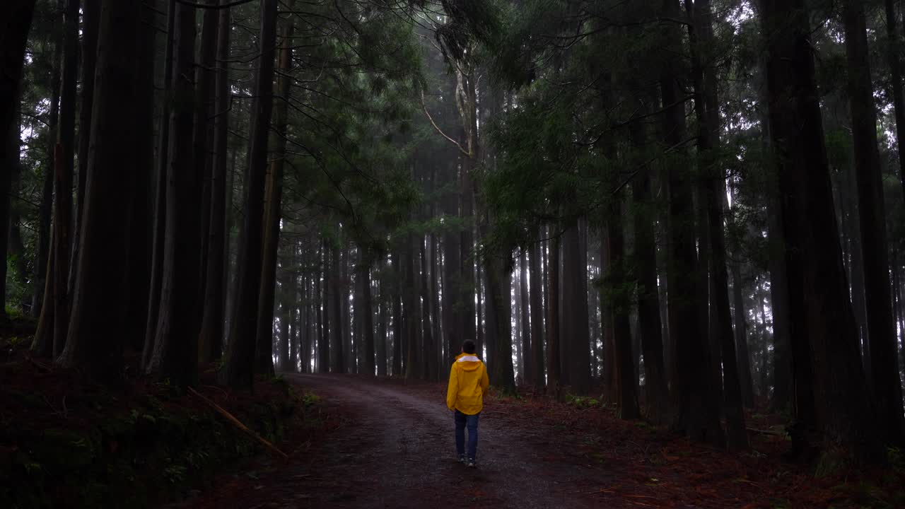 Rear shot of a man wearing a yellow raincoat walking through a dark forest