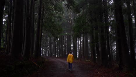 rear shot of a man wearing a yellow raincoat walking through a dark forest