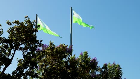 dos banderas ondeando en el viento bajo un cielo despejado fuera de los negocios