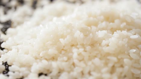 close-up of rice