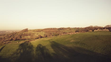 Hadleigh-Castle-Valley-Flyback-through-2-brown-trees