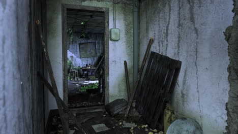 abandoned corridor shows nature reclaiming a dilapidated building