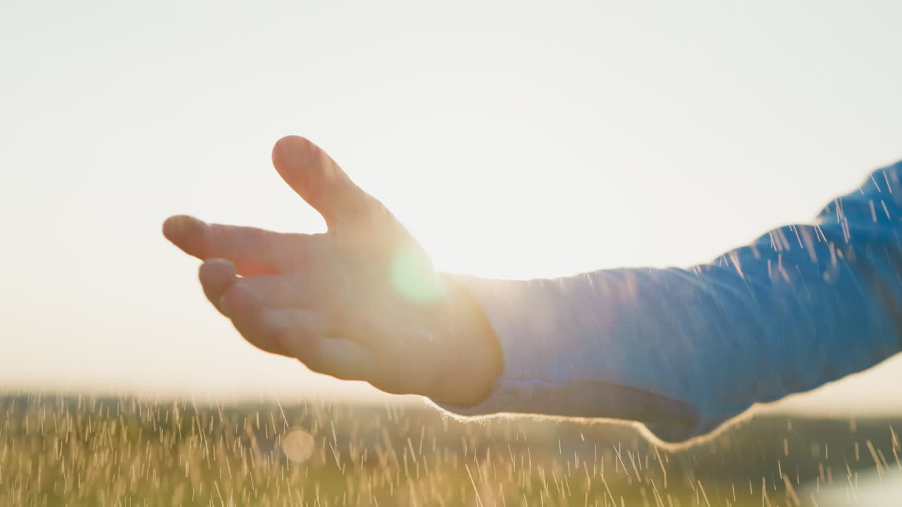 빛과 함께 비가 내리는 손바닥 에서 아이는 자연 세계와의 연결을 느니다.
