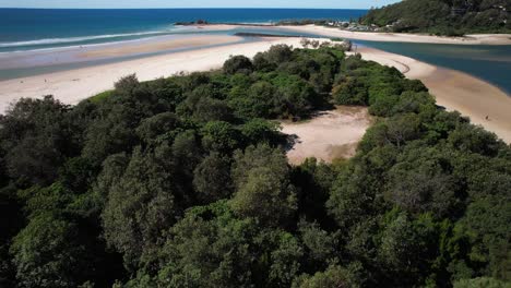 beach and lush vegetation in palm beach, qld, australia - drone shot