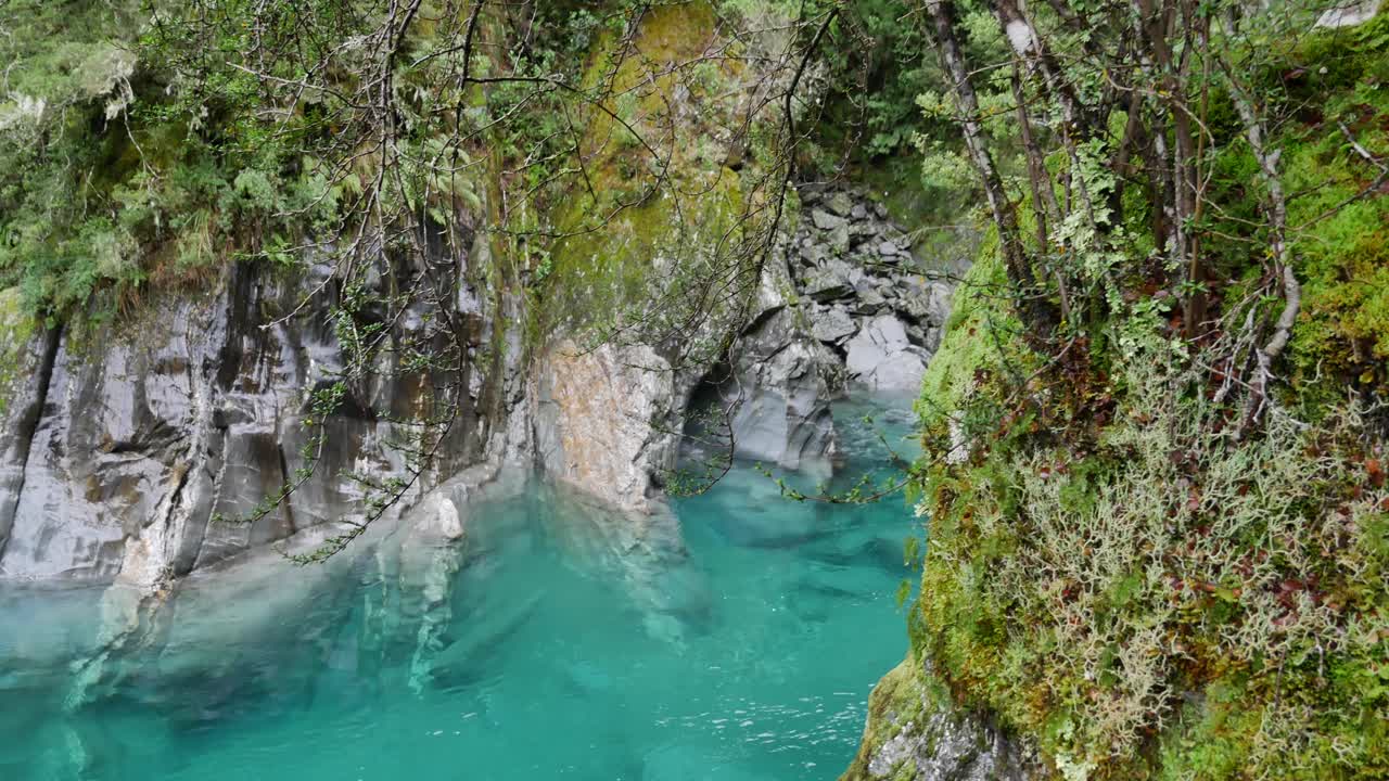 los árboles cubiertos de musgo se aferran al acantilado de piedra caliza vertical sobre el río cristalino