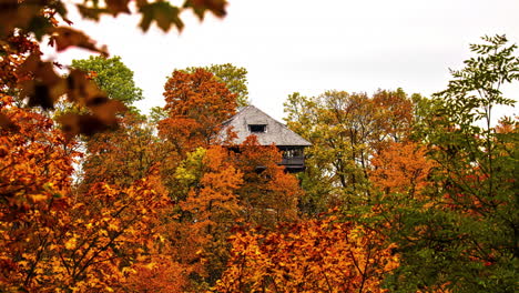 Lapso-De-Tiempo-De-La-Casa-De-Madera-En-El-Bosque-En-Otoño-árbol-De-Otoño-Con-Hojas-Doradas-Marrones