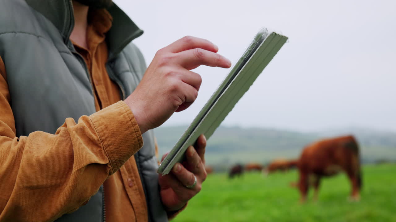 Agricoltore che usa un tablet con del bestiame sullo sfondo