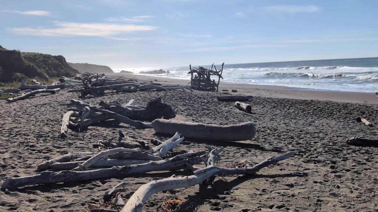 Statisk opptak av et lite drivvedskjul omgitt av forvitrede tømmerstokker på en sandstrand i Cambria, California. Stillehavets bølger og naturlig kystlinje skaper et robust kystlandskap