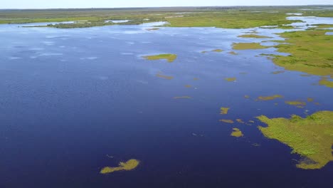 Wetlands-of-northeast-Argentina-shooted-with-drone