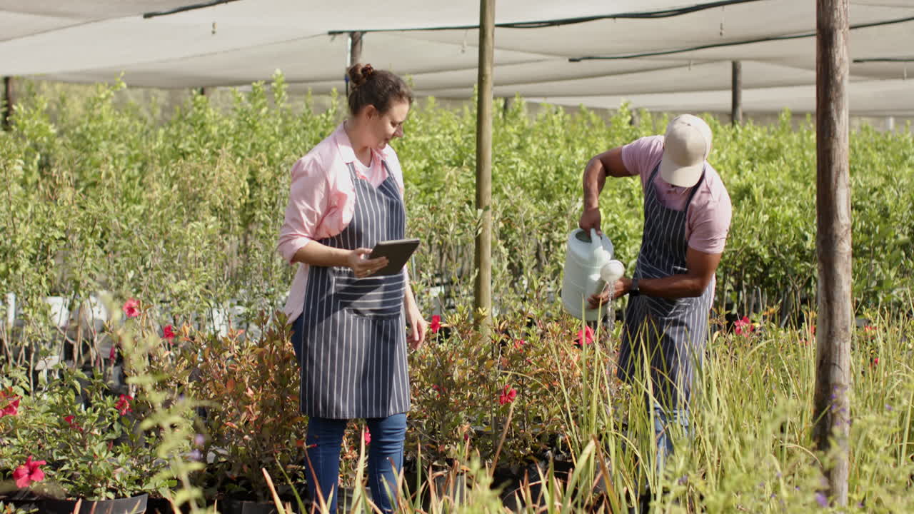 Garden diverse workers tending plants and discussing notes in outdoor nursery, in greenhouse