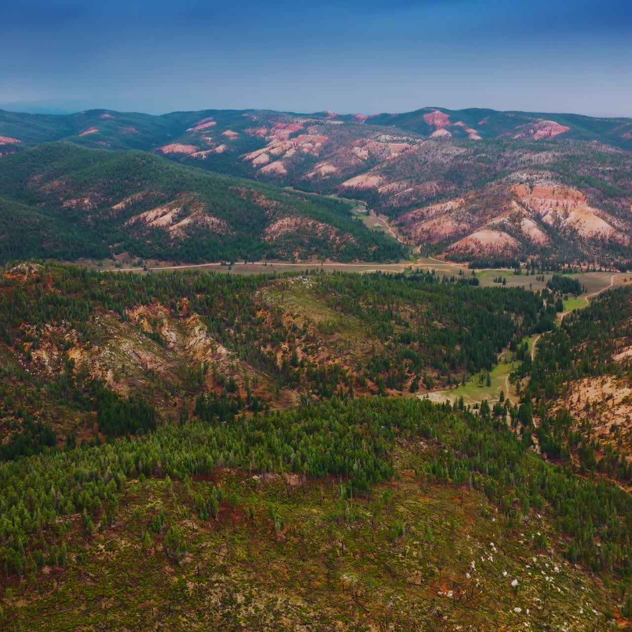Flying above the amazing mountainous landscape covered with pine tree forests. Beautiful scenery of Utah National Park at the backdrop of blue sky