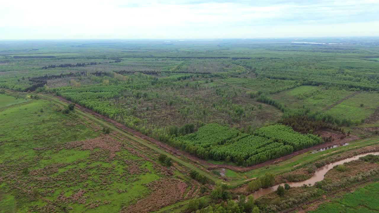 High-altitude drone descends towards vast, lush vegetation of Delta region, revealing a distant horizon during cloudy day