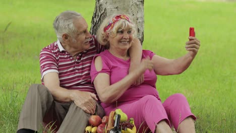 picnic familiar de fin de semana. una pareja de abuelos mayores en el parque usando su teléfono inteligente y haciendo selfies