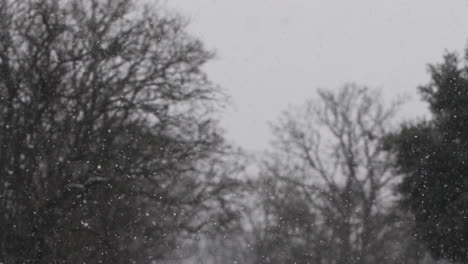 Nieve-Cayendo-Suavemente-Con-árboles-Desnudos-Borrosos-En-El-Fondo
