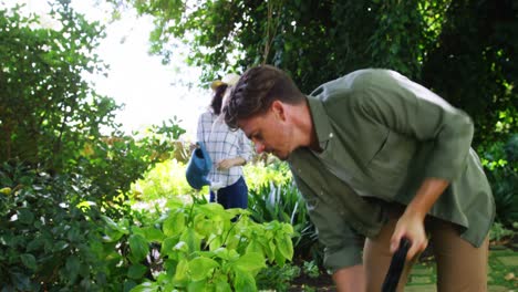 pareja de jardinería en el jardín