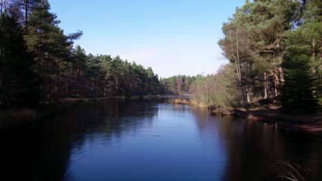 Imágenes-Cinematográficas-De-Drones-Aéreos-Que-Vuelan-Hacia-Atrás-Sobre-Un-Lago-Congelado-En-Una-Plantación-Forestal-De-Pinos-Silvestres-Nativos-Y-Abedules-En-Escocia-Con-Cielos-Azules-Claros-En-Invierno