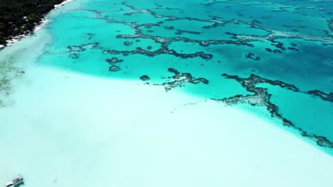 drone view of a white sand beach, shallow water, coral reef and a green tropical pacific island with a lagoon on a sunny day in maupiti, french polynesia.