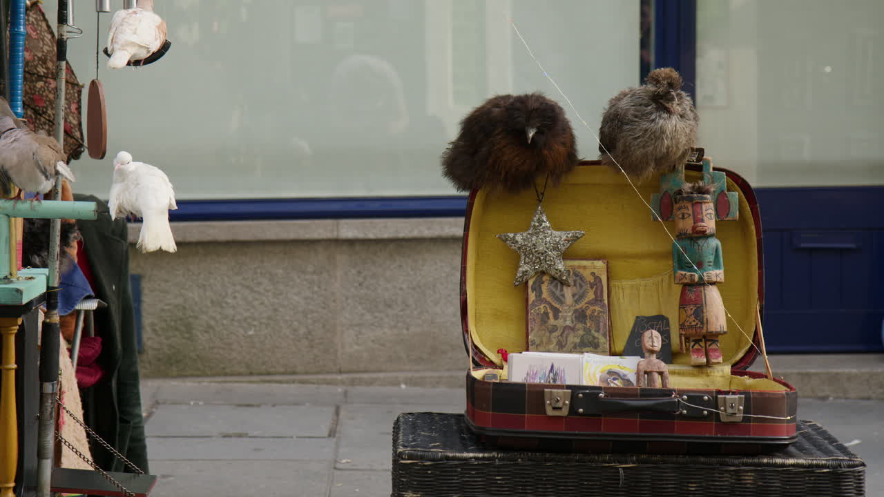 Wooden Toys And Live Birds On Sidewalk In Porto, Portugal. closeup shot