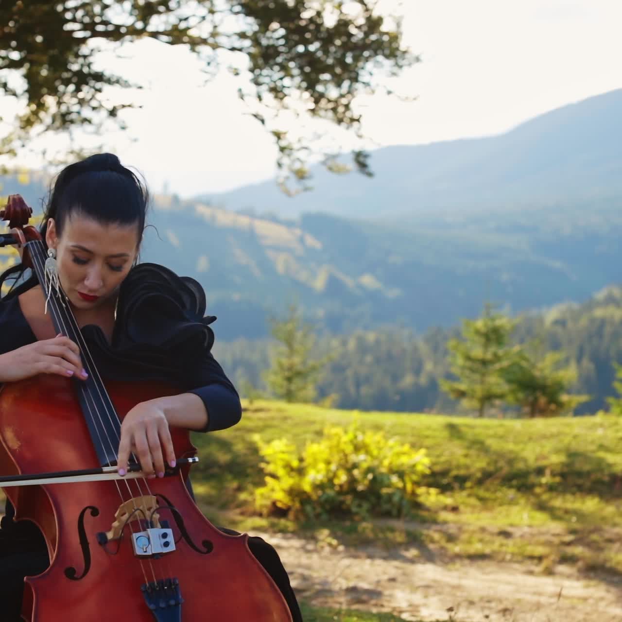 Pretty lady playing on cello. Outdoor musical perfomance with cello