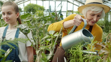 grandmother and granddaughter gardening in a greenhouse