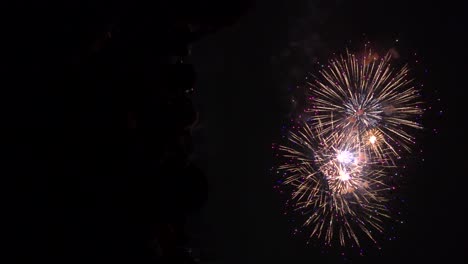 vista vertical de fuegos artificiales explotando en cámara lenta con multitudes siluetadas