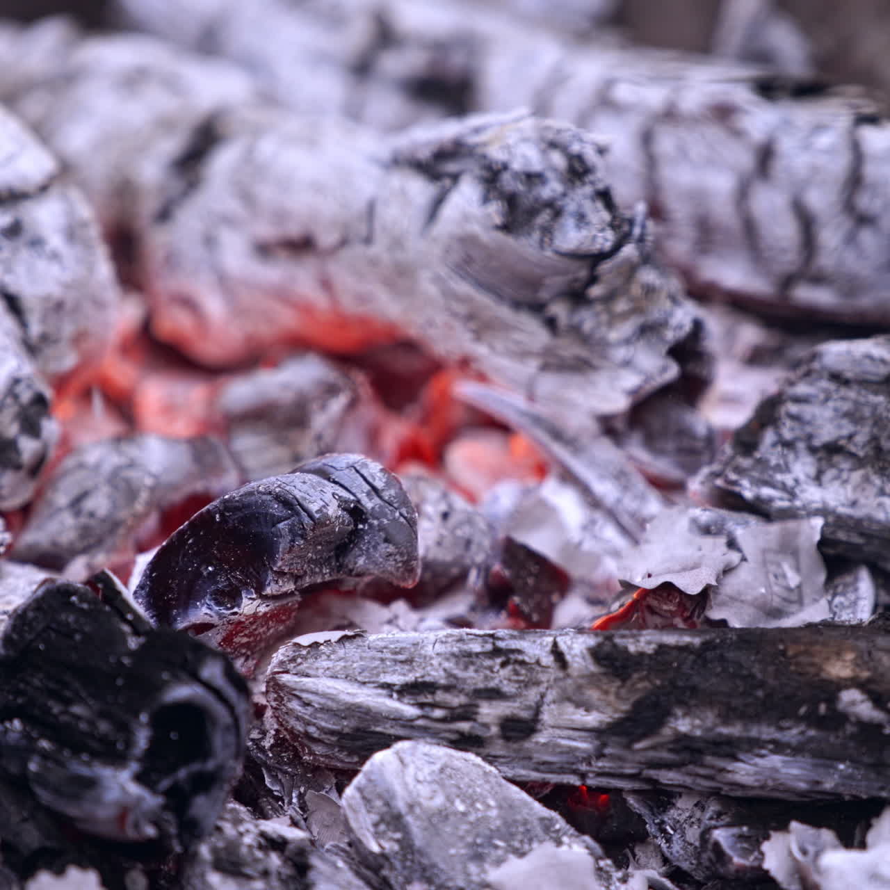 Torn american money burning in a fire. Pieces of one hundred dollars banknote falling into flames and burn up on fire burned wood.