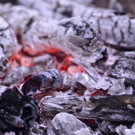 torn american money burning in a fire. pieces of one hundred dollars banknote falling into flames and burn up on fire burned wood.