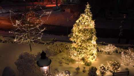 exhibición y luces del árbol de navidad al aire libre