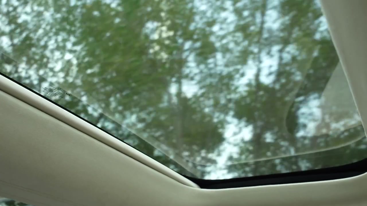 Ripresa dal tettuccio apribile di un'auto che attraversa la città con alberi sullo sfondo.