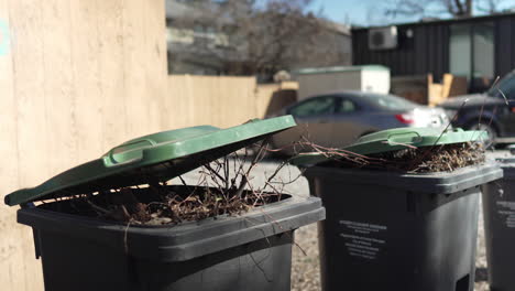 Contenedores-De-Basura-De-Jardín-Llenos-En-Un-Callejón