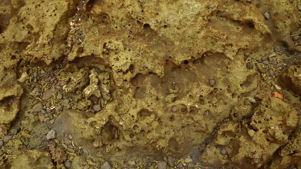 A top shot of Yellow‑brown stone pitted with cavities, its porous skin marked by erosion, a surface where mineral color and texture speak of quiet decay near Mauban Port, Quezon Province Philippines