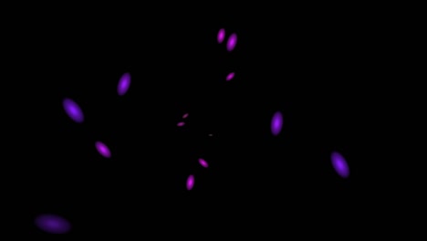 fondo negro y difusión del círculo, multiplicación