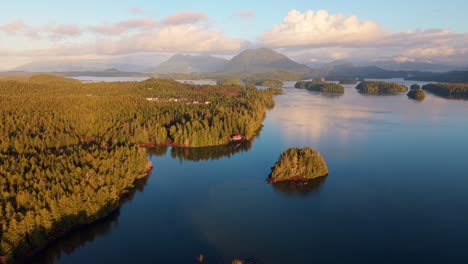 drone shot of tofino on vancouver island displaying autumn colors, rugged coastline, and ocean waves in a scenic aerial view.