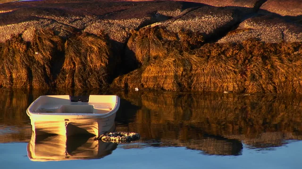 작은 보트가 스토닝턴 메인의 랍스터 마을 근처에 정박하고 있습니다.