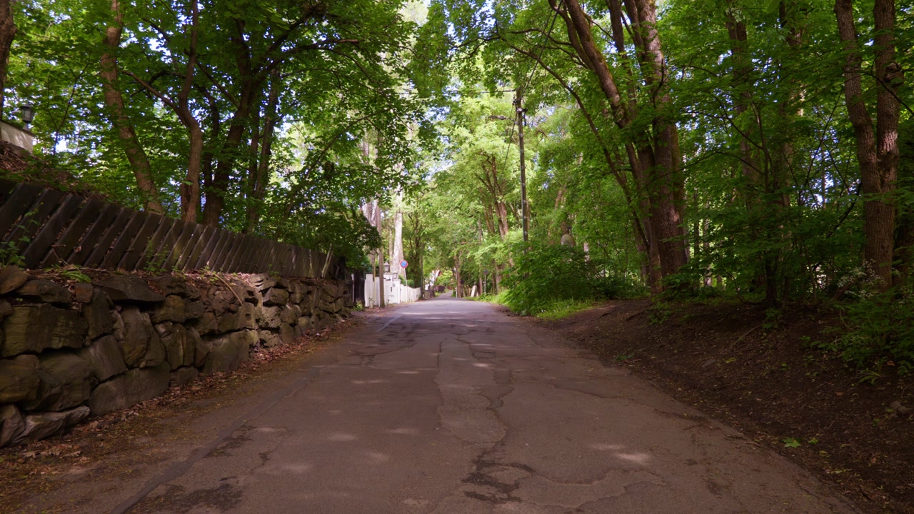 A quiet forest path lined with a stone wall and dense greenery. Ideal for nature documentaries or travel content focusing on serene landscapes.