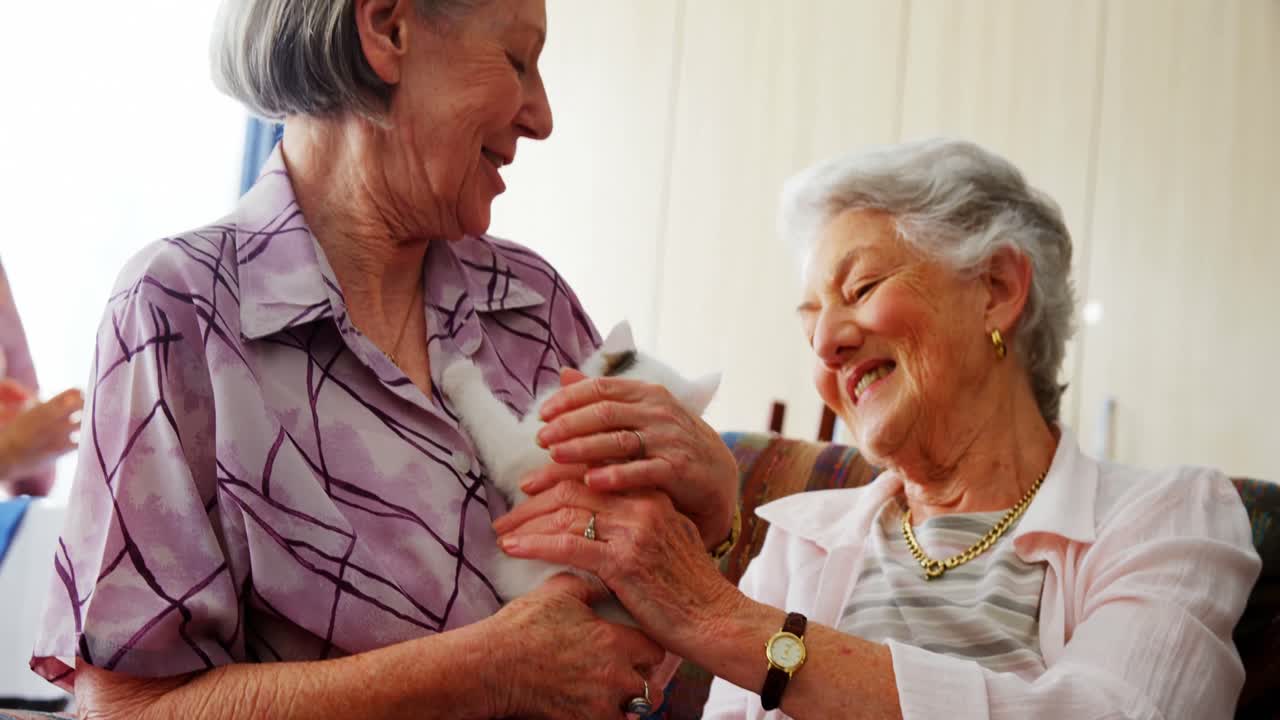 노인 가정 에서 의자 에 있는 새끼 고양이 를  ⁇ 는 노인 여성 4k