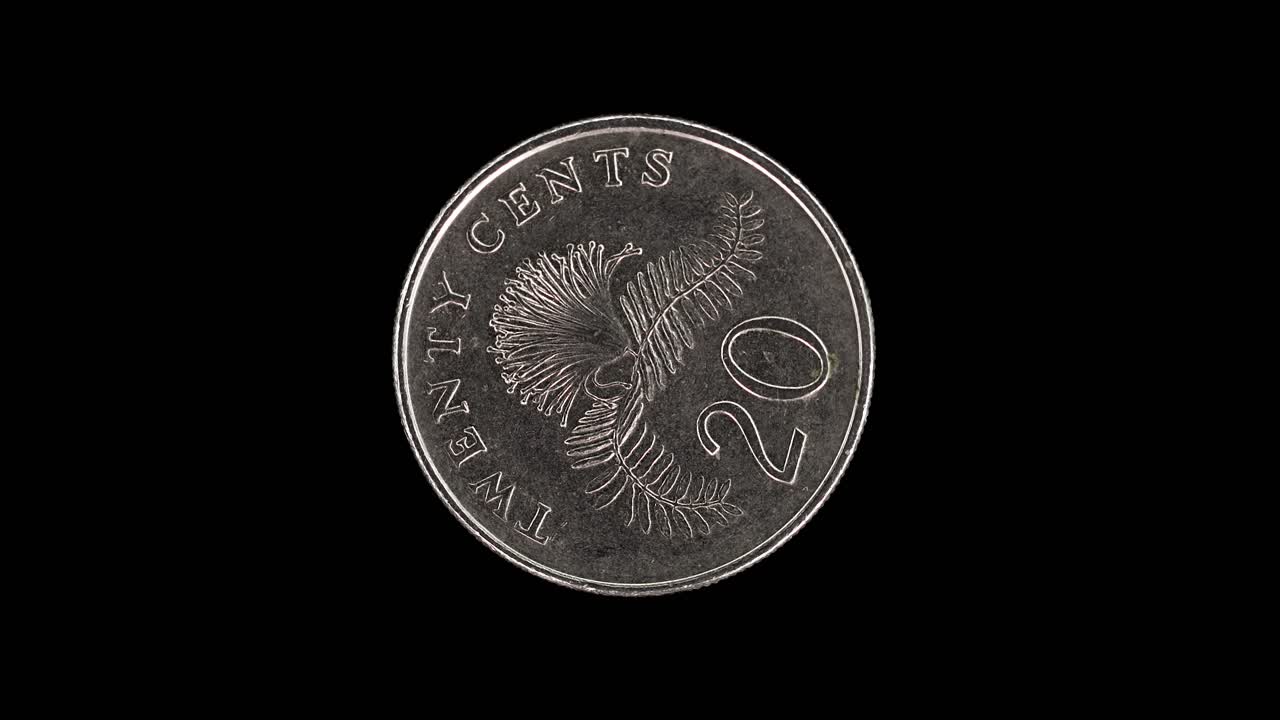 Singapore 20 cent 1997 reverse with powder-puff plant design, macro loop on black background