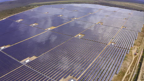 the future looks brighter with solar power