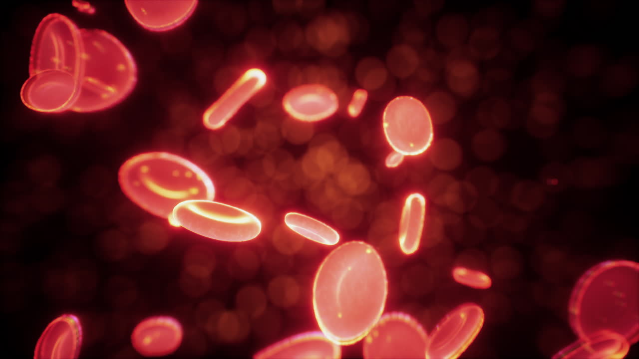 glóbulos rojos humanos sanos concepto abstracto