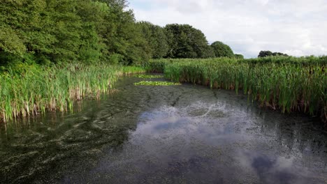 Aerial-video-footage-of-the-remains-of-Bolingbroke-Castle-a-13th-century-hexagonal-castle,-birthplace-of-the-future-King-Henry-IV,-with-adjacent-earthwork