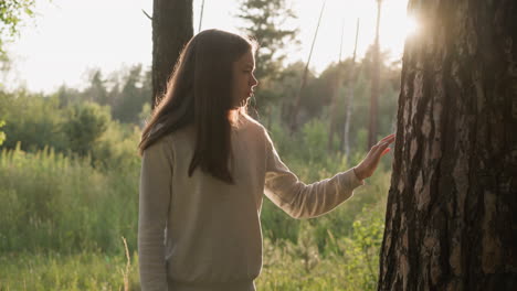 long haired woman caresses tree trunk in forest at sunset. young lady takes leisurely walk under soft glow of evening sun. finding peace of mind in nature