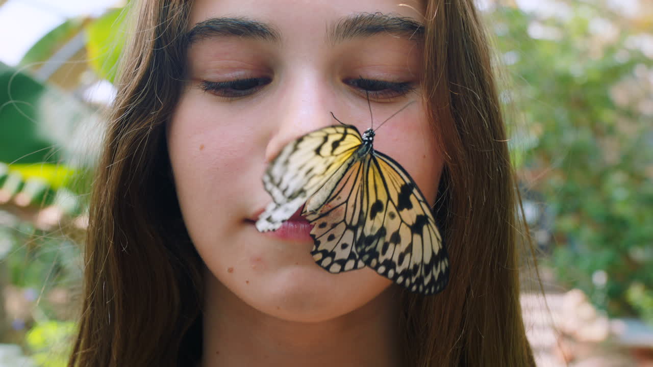 Natura, animali e bambina con farfalla sul viso