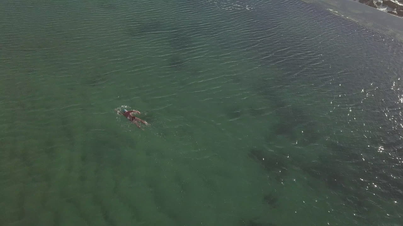 바다는 그의 체육관입니다.