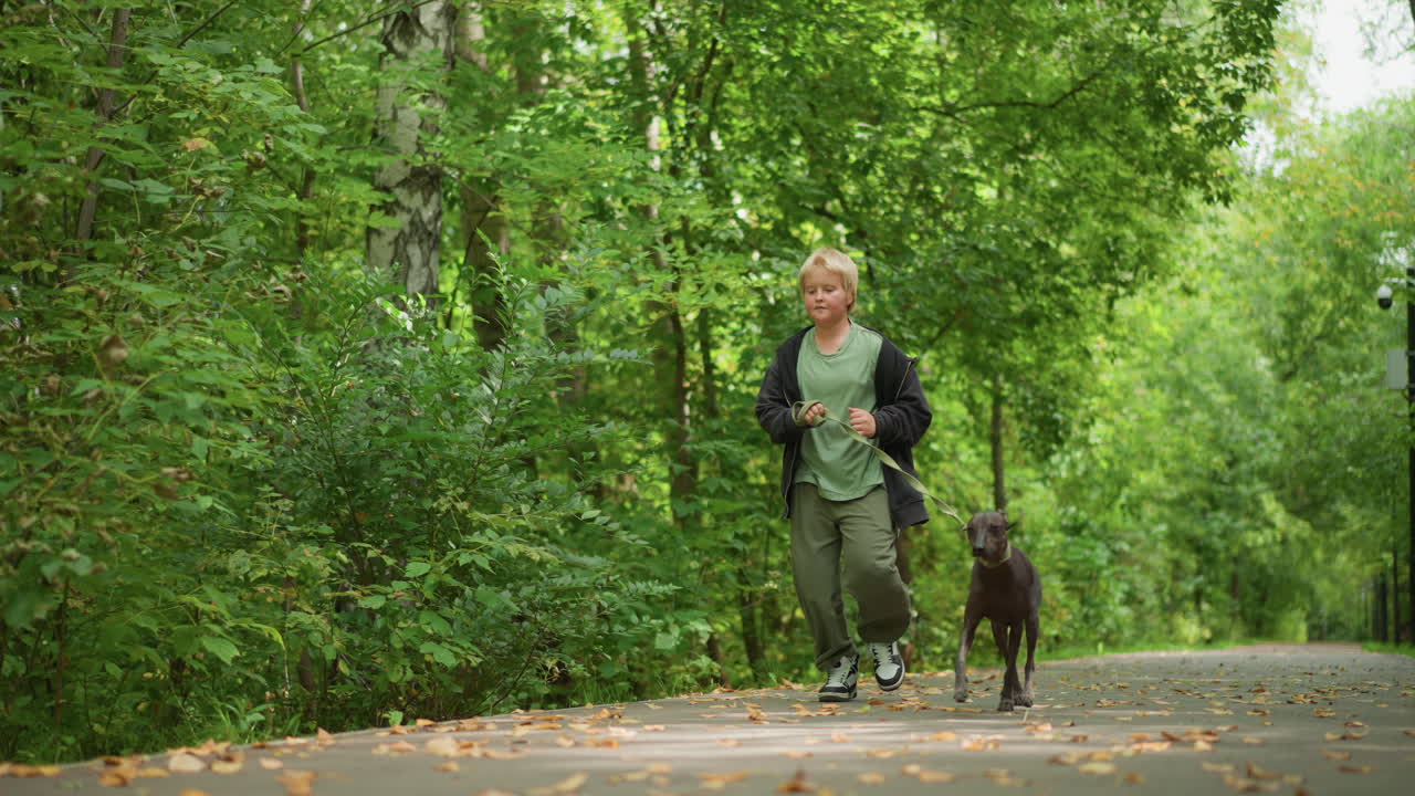 Casual Stroll Through Tranquil Park Setting, Youth Walking With Canine Along Peaceful Leafy Park Pathway, Young Boy Sauntering With His Dog Amidst Serene Green Trees And Quiet Surroundings